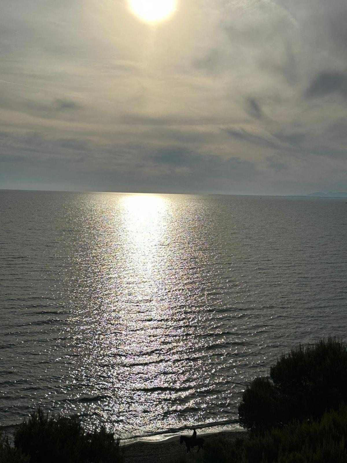 Sea La Vie * Shëngjin